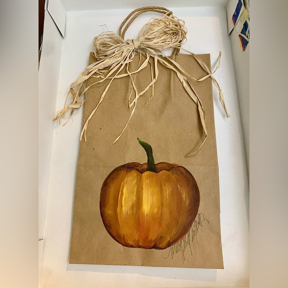 1992 Vtg Hand Painted Artist Signed Mary Beth Baxter Paper Pukpkin Bag